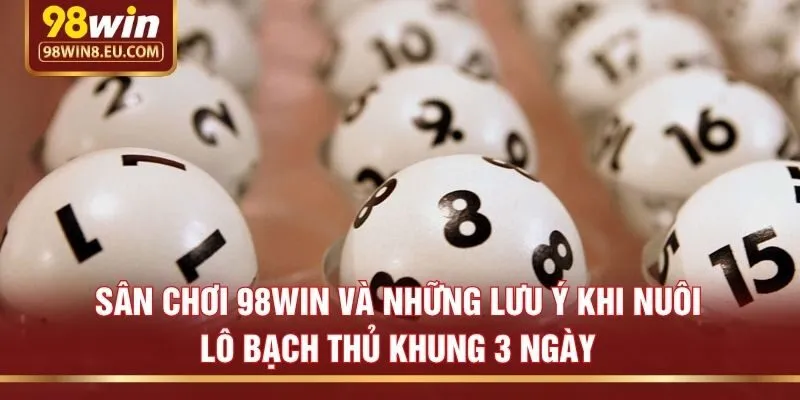 Sân chơi 98win và những lưu ý khi nuôi lô bạch thủ khung 3 ngày